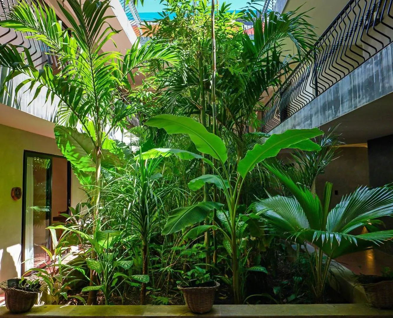 Calea Tulum Hotel